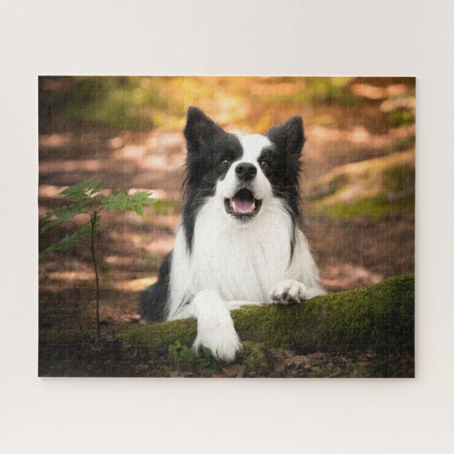 Cutest Baby Animals | Black & White Border Collie Jigsaw Puzzle (Horizontal)