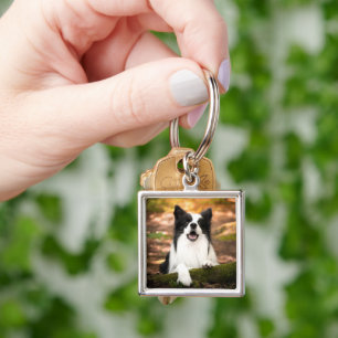 Cutest Baby Animals   Black & White Border Collie Key Ring