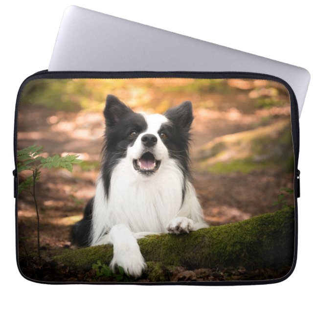 Cutest Baby Animals | Black & White Border Collie Laptop Sleeve (Front)