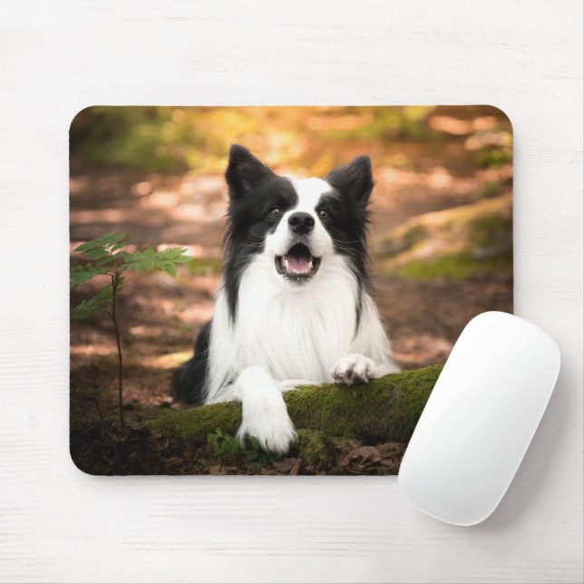 Cutest Baby Animals | Black & White Border Collie Mouse Pad (With Mouse)