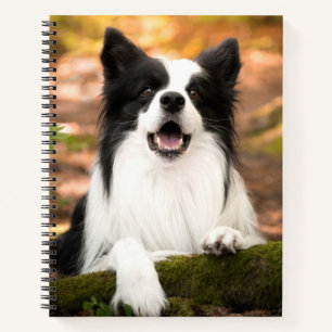 Cutest Baby Animals Black & White Border Collie Notebook