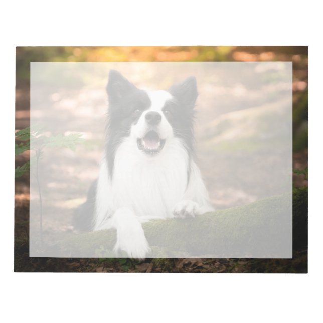 Cutest Baby Animals | Black & White Border Collie Notepad (Front)