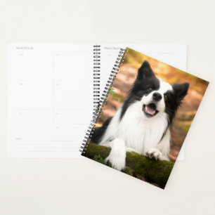 Cutest Baby Animals Black & White Border Collie Planner