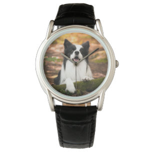 Cutest Baby Animals Black & White Border Collie Watch