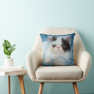 Cutest Baby Animals   Black & White Kitten Cushion