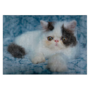 Cutest Baby Animals   Black & White Kitten Cutting Board