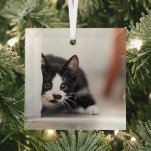Cutest Baby Animals Black & White Kitten Glass Tree Decoration