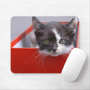 Cutest Baby Animals Black & White Kitten Mouse Pad