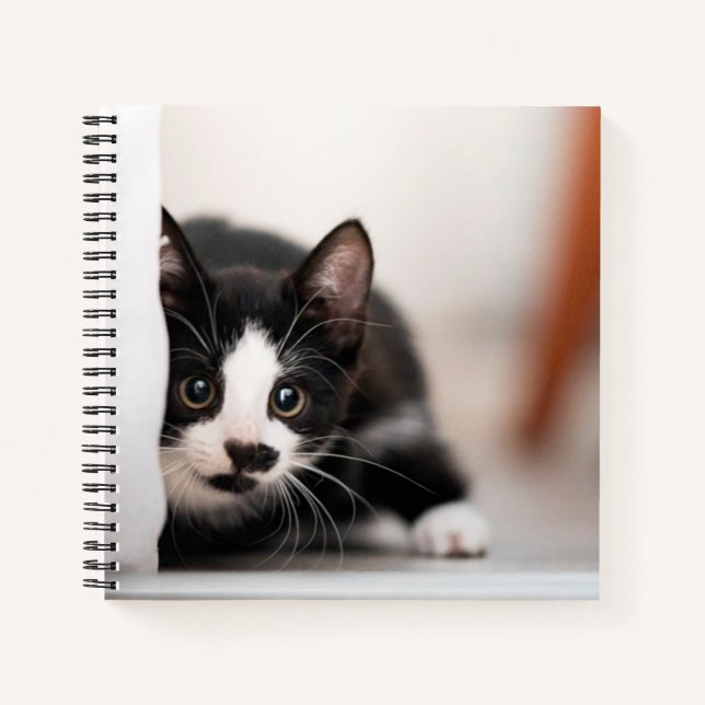 Cutest Baby Animals | Black & White Kitten Notebook (Front)