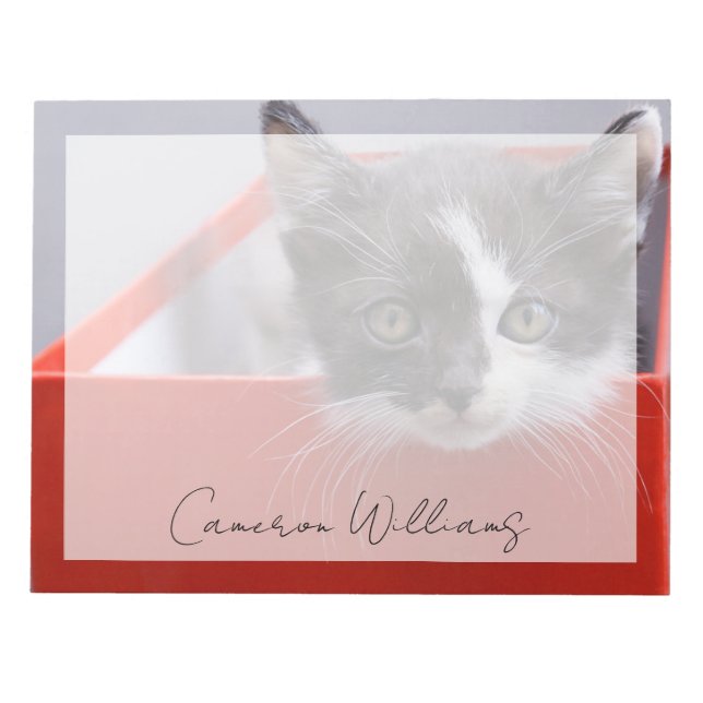 Cutest Baby Animals | Black & White Kitten Notepad (Front)