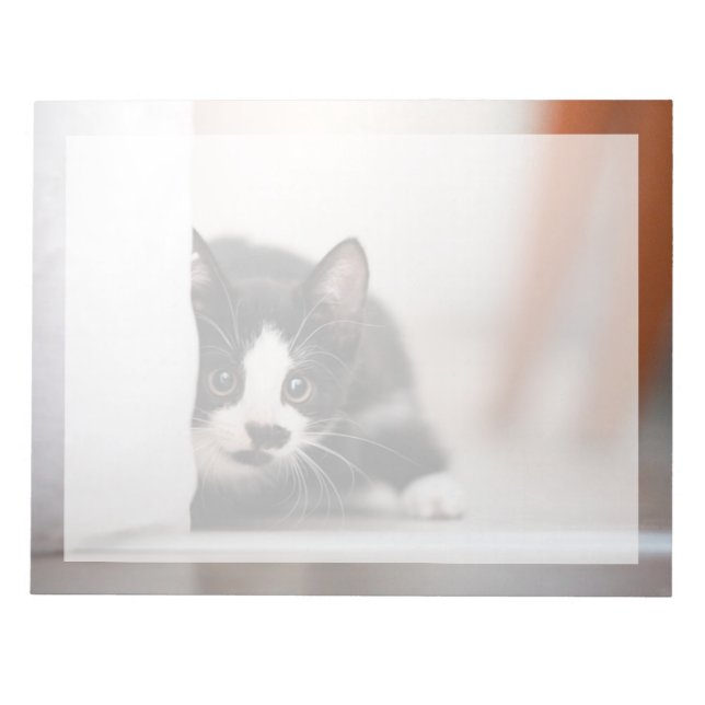 Cutest Baby Animals | Black & White Kitten Notepad (Front)