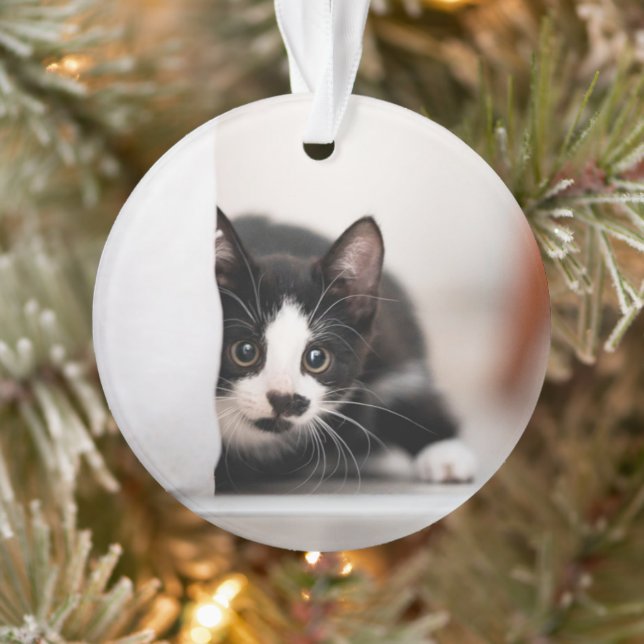 Cutest Baby Animals | Black & White Kitten Ornament (Tree)