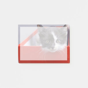Cutest Baby Animals Black & White Kitten Post-it Notes