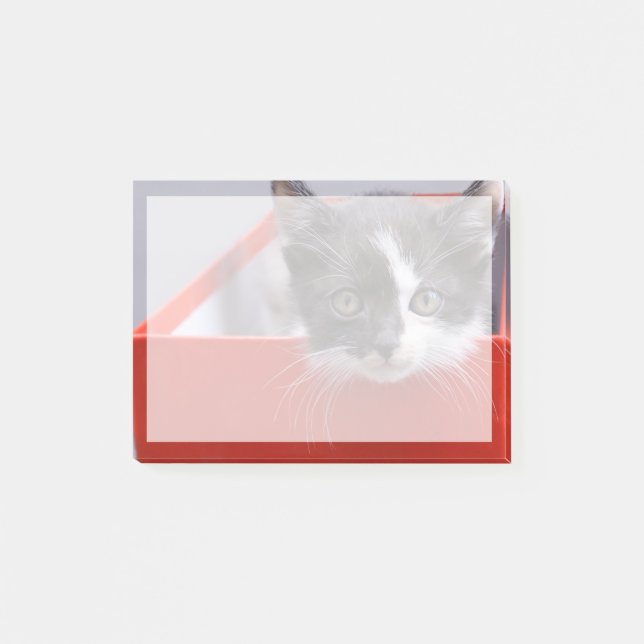Cutest Baby Animals | Black & White Kitten Post-it Notes (Front)