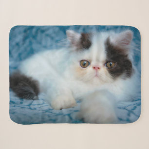 Cutest Baby Animals   Black & White Kitten Sherpa Blanket