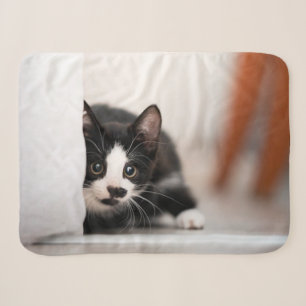 Cutest Baby Animals   Black & White Kitten Sherpa Blanket
