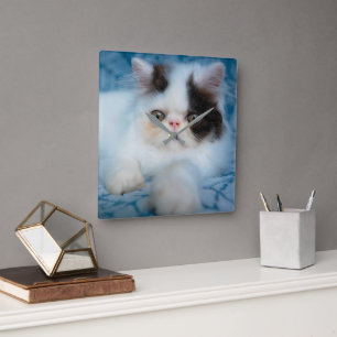 Cutest Baby Animals Black & White Kitten Square Wall Clock