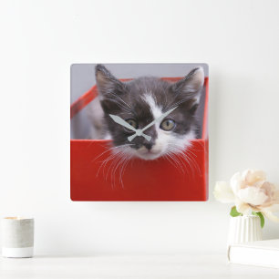 Cutest Baby Animals Black & White Kitten Square Wall Clock