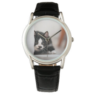 Cutest Baby Animals   Black & White Kitten Watch