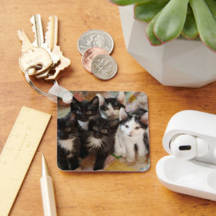 Cutest Baby Animals Black & White Kittens Key Ring