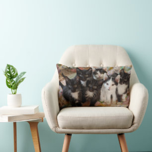 Cutest Baby Animals   Black & White Kittens Lumbar Cushion