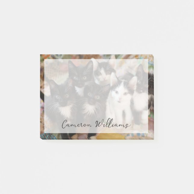 Cutest Baby Animals | Black & White Kittens Post-it Notes (Front)