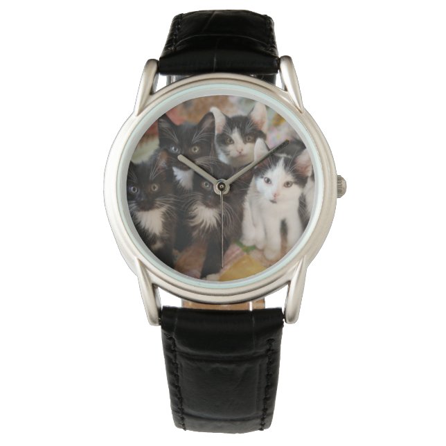Cutest Baby Animals | Black & White Kittens Watch (Front)
