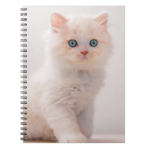 Cutest Baby Animals Blue Eye Kitten Notebook