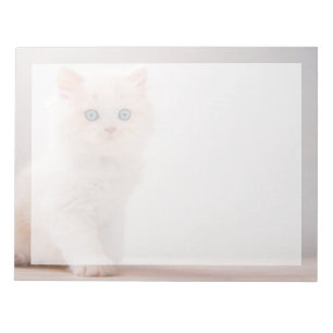 Cutest Baby Animals Blue Eye Kitten Notepad