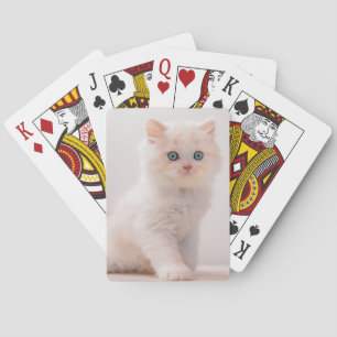 Cutest Baby Animals   Blue Eye Kitten Playing Cards