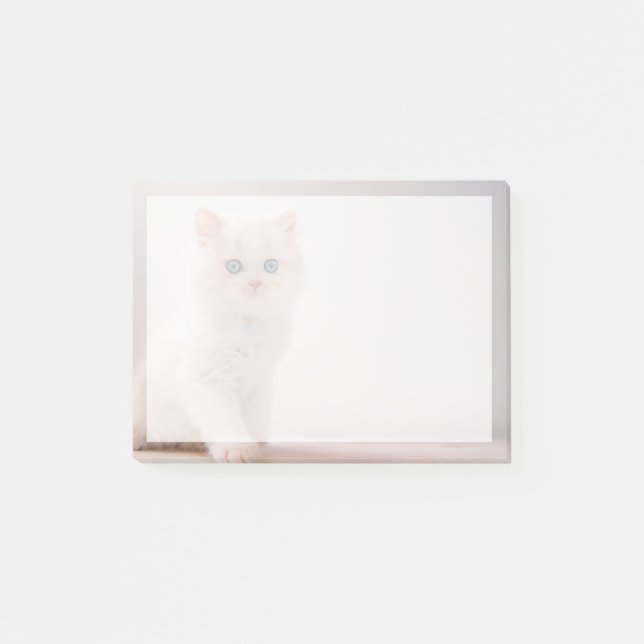 Cutest Baby Animals | Blue Eye Kitten Post-it Notes (Front)