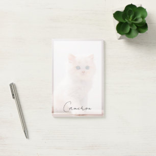 Cutest Baby Animals Blue Eye Kitten Post-it Notes