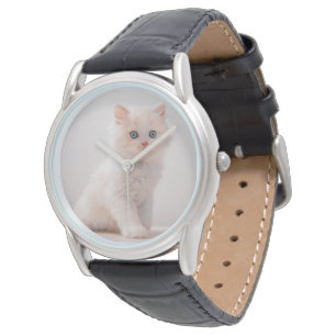 Cutest Baby Animals Blue Eye Kitten Watch