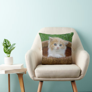 Cutest Baby Animals Blue Eyed Kitten Cushion
