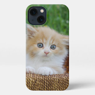 Cutest Baby Animals   Blue Eyed Kitten iPhone 13 Case