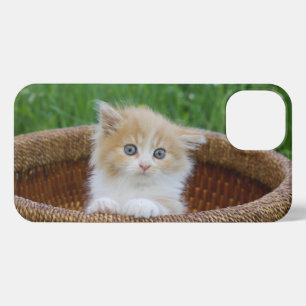 Cutest Baby Animals   Blue Eyed Kitten iPhone 13 Case