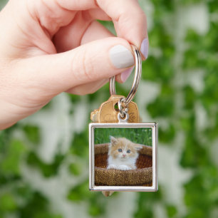 Cutest Baby Animals Blue Eyed Kitten Key Ring