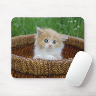 Cutest Baby Animals   Blue Eyed Kitten Mouse Pad