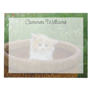 Cutest Baby Animals Blue Eyed Kitten Notepad