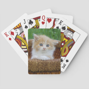 Cutest Baby Animals Blue Eyed Kitten Playing Cards