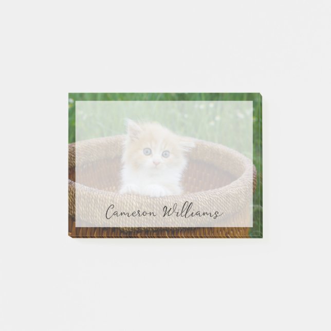 Cutest Baby Animals | Blue Eyed Kitten Post-it Notes (Front)