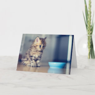 Cutest Baby Animals Blue-eyed Persian Kitten Card
