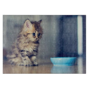 Cutest Baby Animals Blue-eyed Persian Kitten Cutting Board