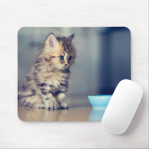 Cutest Baby Animals Blue-eyed Persian Kitten Mouse Pad