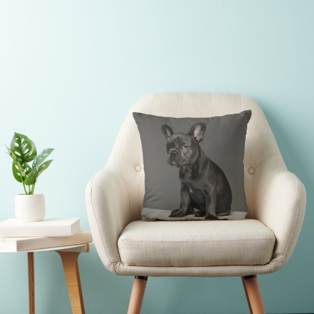 Cutest Baby Animals | Blue French Bulldog Puppy Cushion (Chair)