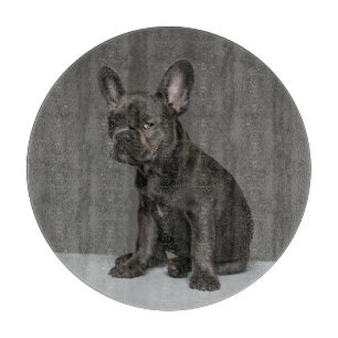 Cutest Baby Animals   Blue French Bulldog Puppy Cutting Board