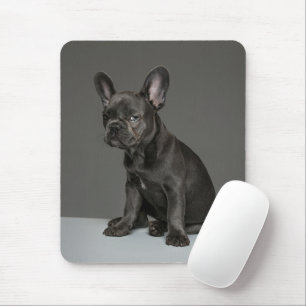 Cutest Baby Animals   Blue French Bulldog Puppy Mouse Pad