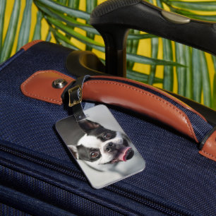 Cutest Baby Animals   Boston Bulldog Smile Luggage Tag