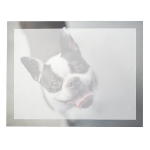 Cutest Baby Animals Boston Bulldog Smile Notepad