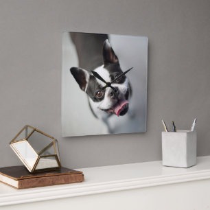 Cutest Baby Animals Boston Bulldog Smile Square Wall Clock
